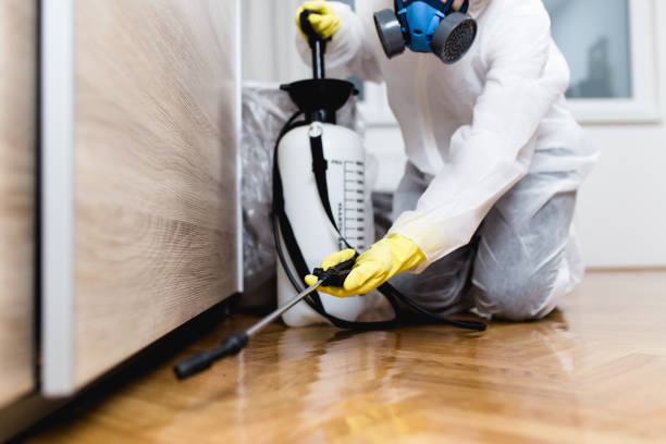 Best Mosquito Control Services  in Spring Glen, UT